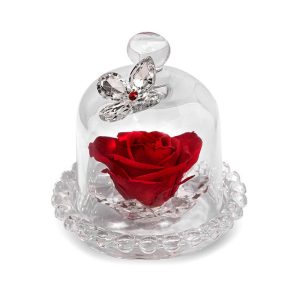 CUPOLA IN VETRO CON ROSA STABILIZZATA. BEAUTY&THE BEAST. 22.232.ROSSO